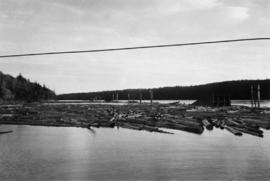 Log boom in the Fraser River at Peden Hill Sawmill