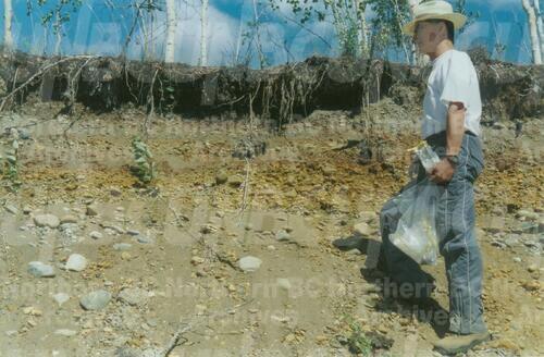 Original Digital object not accessible