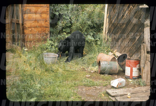 Original Digital object not accessible