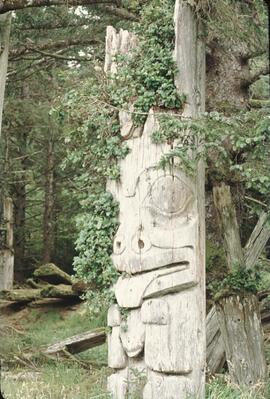 Ninstints totem poles at Anthony Island