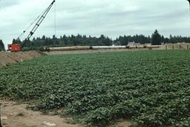 Pipeline construction near Langley