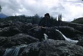 Indigenous boy gaffing pink salmon fish near Moricetown