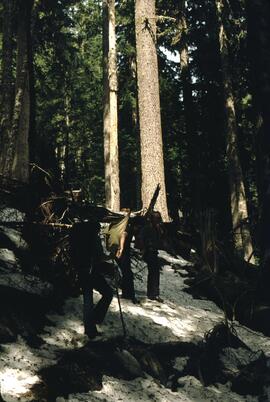 Joan Marie Sawicki, Terry Lewis and Gordon Gram hiking on Mount Laughington trail