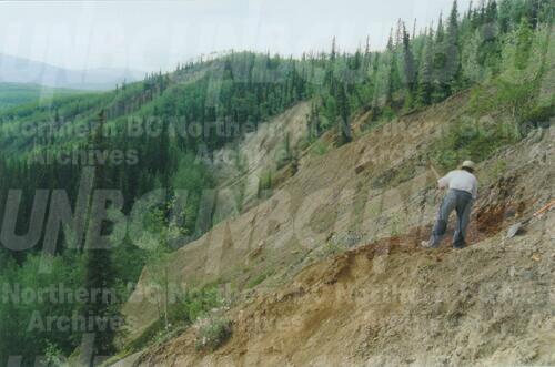 Original Digital object not accessible