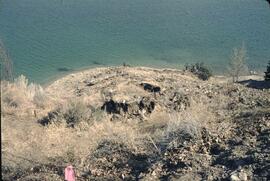 Landslide (slump) in Glaciolacustrine silts onto highway near Summerland