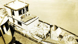 A fishing boat loaded with fish for the cannery