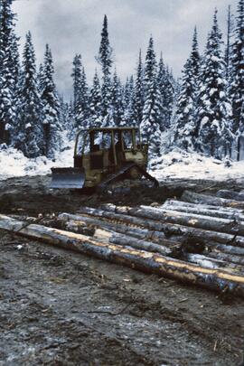 D4H high-drive tracked skidder at Summit Lake Selection Trial