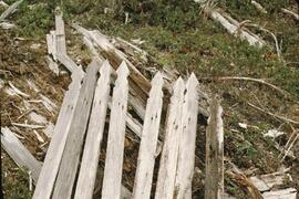 Broken fence at graveyard in Cheewhat area on the West Coast Trail