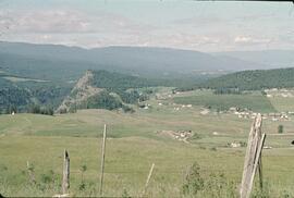 Rangeland and vineyards near Highway 33