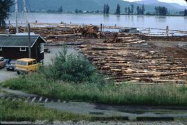Dryland log sort and log booms in water at Hatzic Lake