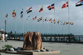 Wood sculpture by David Eeles at the United Nations Habitat Conference