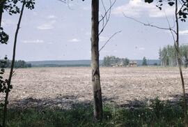 Cultivated soil at Vanderhoof