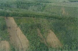 Aerial views (E 15 Mile to Rock Ck) - 17