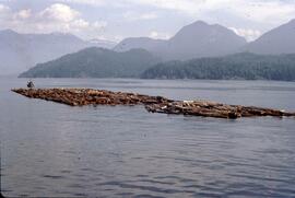 Log boom in the Straight of Georgia