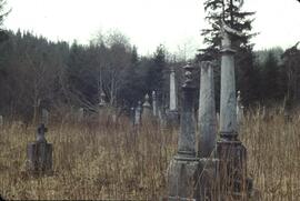 Indigenous cemetary near Queen Charlotte City