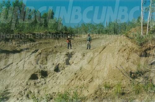 Original Digital object not accessible