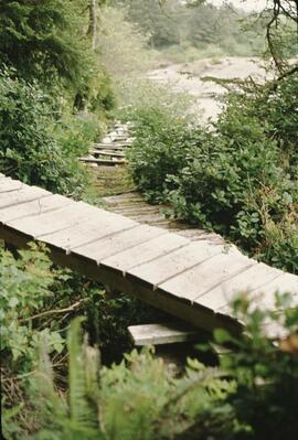 Old and new wooden bridges along the West Coast Trail