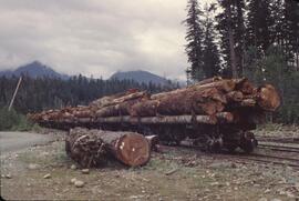Railway cars loaded with logs in Nimpkish Valley