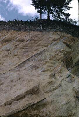 Tertiary sediment, Princeton