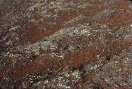 Lichen and cinder at Mount Edziza Provincial Park