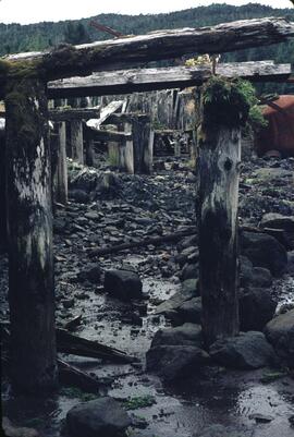 Old buildings at Rose Harbour Whaling Station in the Queen Charlotte Islands