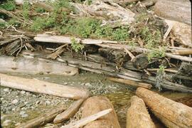 Remnants of a boat wreck at southern area of Mabens Beach