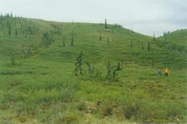 Red Creek soils & landscapes, km 168 Dempster Hwy - 03