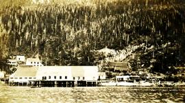 Port Nelson Cannery