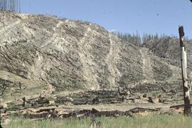 Downed logged trees and eroded slopes north of Donald