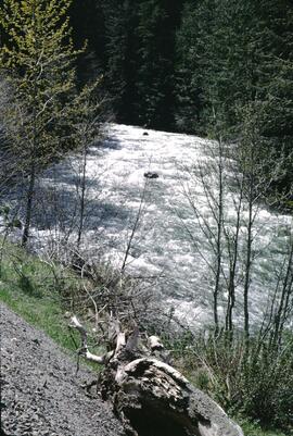 Rapids on Skagit River, Manning Park