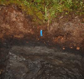 BC12-14 soil profile view 1