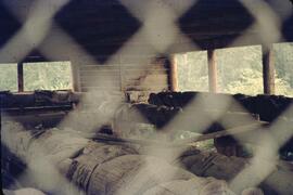 Totem poles in covered area at Kispiox