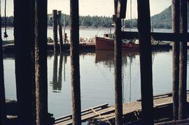 Fishing boat docked at Port Edward