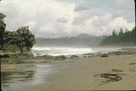 Rocky shoreline in heavy winds near Carmanah Point on the West Coast Trail