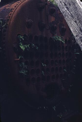 Open original Digital object