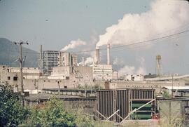 Port Edward pulp mill