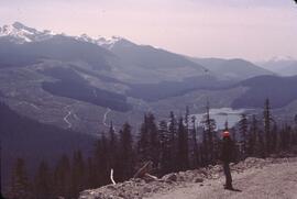 Forest harvesting in Nimpkish Valley