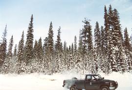BC Forest Service truck at Summit Lake Trial (EP 1162) in winter