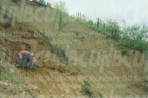 Original Digital object not accessible