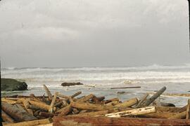 Piles of washed up logs on beach at Coal Creek on the West Coast Trail