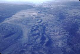 Aerial view of vegetation at Cold Fish Lake