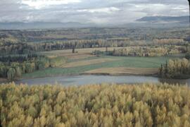 Farmland in autumn from helicopter near Smithers