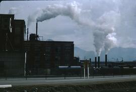 Consolidated Mining and Smelting Company (Cominco) smoke pollution at Tadanac