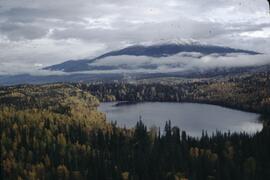 Fall colours from helicopter near Duskwing Creek