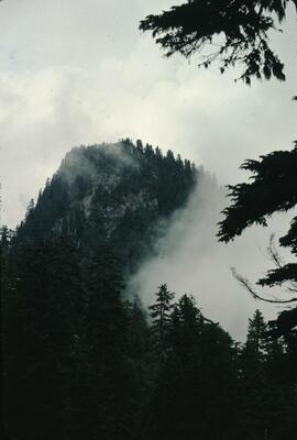 Goat Mountain