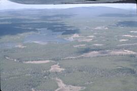Aerial view of forest and wetlands landscape in the Chilcotin