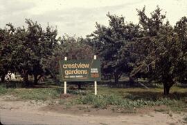 Urban development in orchards in Westbank