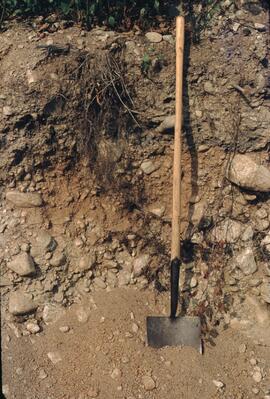 Class 4 soil image at Comox