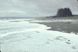Seafoam on shoreline near Tlell River