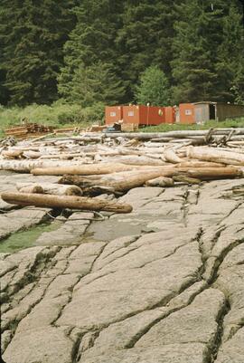 Mobile construction units near Carmanah Point on the West Coast Trail